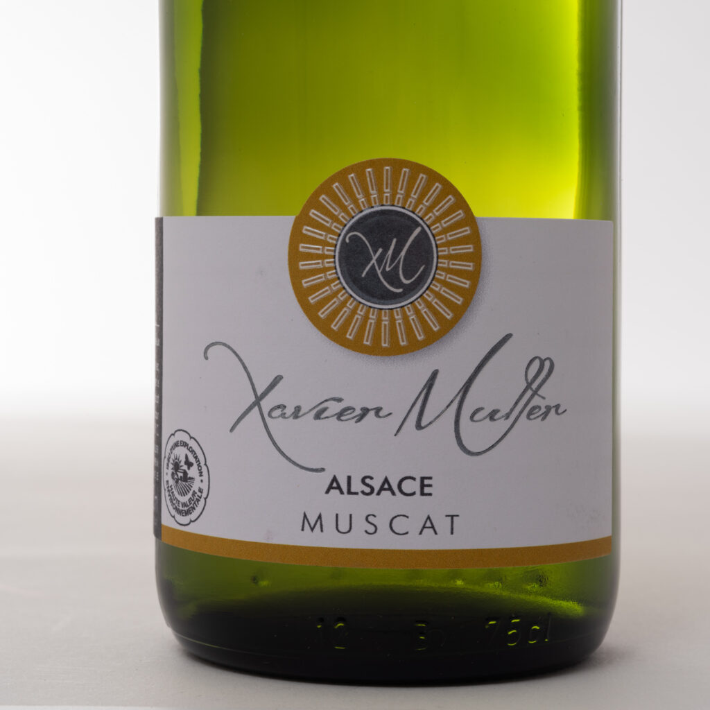 muscat xavier muller vente de vin alsace